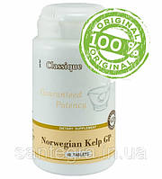 Norwegian Kelp GP (60) Норвежский Келп Сантегра - Santegra