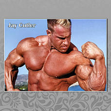 Джей Катлер (Jay Cutler)