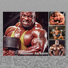 Джонні Джексон (Johnnie Jackson)