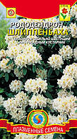 Насіння РОДЕНДРОН ШЛІППЕНБАХА БІЛИЙ 0,005 г