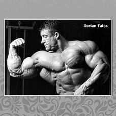 Доріан Ятс (Dorian Yates)