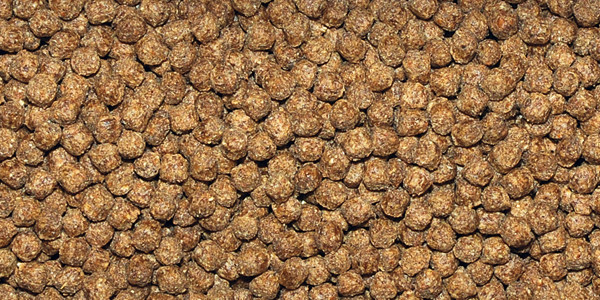 Корм в гранулах для всех видов водяных черепах Dajana REPTI Gran 250 мл/110 г - фото 2 - id-p1381410409