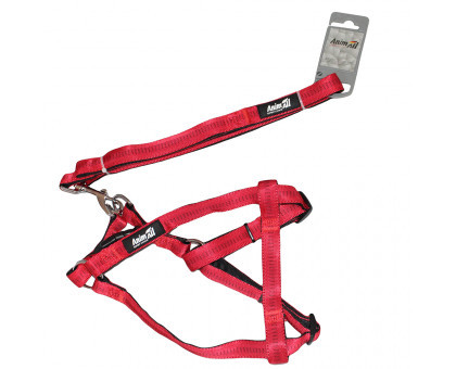 Шлея з повідцем AnimAll для собак HJ-LH 254 Red 20х1200х20мм+40/65см