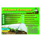 Парник Угосподара, щільність 60 г/м2(1,60*1,20) 6 м (6 м), фото 3