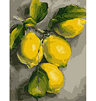 Набір, картина за номерами "Гілка лимона", 30*40 див., SANTI