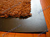 Килим брудозахисний Еліт 90х150 см коричневий, фото 8