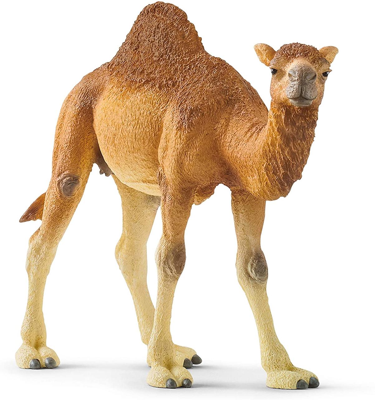 Шляйх фігурка верблюд Дромадер SCHLEICH Camel Dromedary