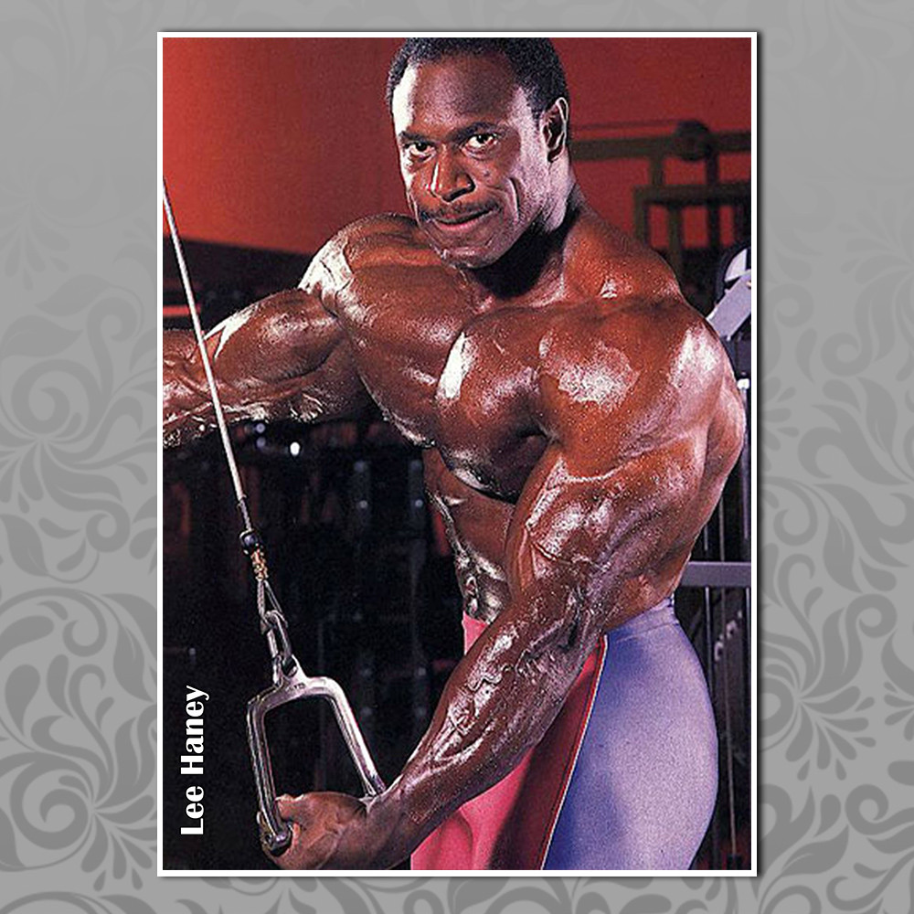 Плакат А3 Лі Хейні 002, фото 1