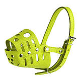 Намордник для mini порід собак XS для вимірювань шпіц, чихуа Хуа, йоркширський тер'єр, фото 9