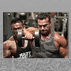 Річ Гаспарі (Rich Gaspari)