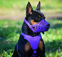 Комплект Шлея, Повідець, Намордник із м'якої шкіри для собаки дрібної та середньої породи. Разом Дешевле!