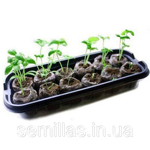Міні теплиця під 12 торф'яних таблеток, 1 шт