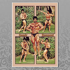 Самір Баннут (Samir Bannout)