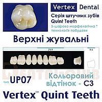Зуби акрилові (искусственные зубы)на планці верхні жувальні п ятишарові Vertex Quint (вертекс квінт) тип зубів 07 UP, C3