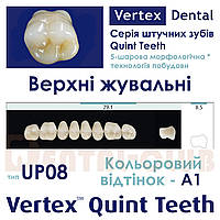 Зуби акрилові (искусственные зубы)на планці верхні жувальні п ятишарові Vertex Quint (вертекс квінт) тип зубів 08 UP, A1