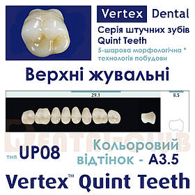 Зуби акрилові на планці верхні жувальні п'ятому ятишарові Vertex Quint (вертекс квінт), тип зубів 08 UP, A3.5