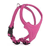 Шлея для собак дрібних і середніх порід із м'якої шкіри, фото 7