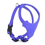 Шлея для собак дрібних і середніх порід із м'якої шкіри, фото 8