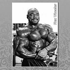 Флекс Уіллер (Flex Wheeler)