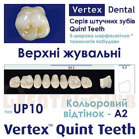 Зуби акрилові на планці верхні жувальні п'ятому ятишарові Vertex Quint (вертекс квінт), тип зубів 10 UP, A2