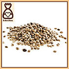 Семена конопли, 500г: продажа, цена в Киеве. Семена, саженцы и рассада ...