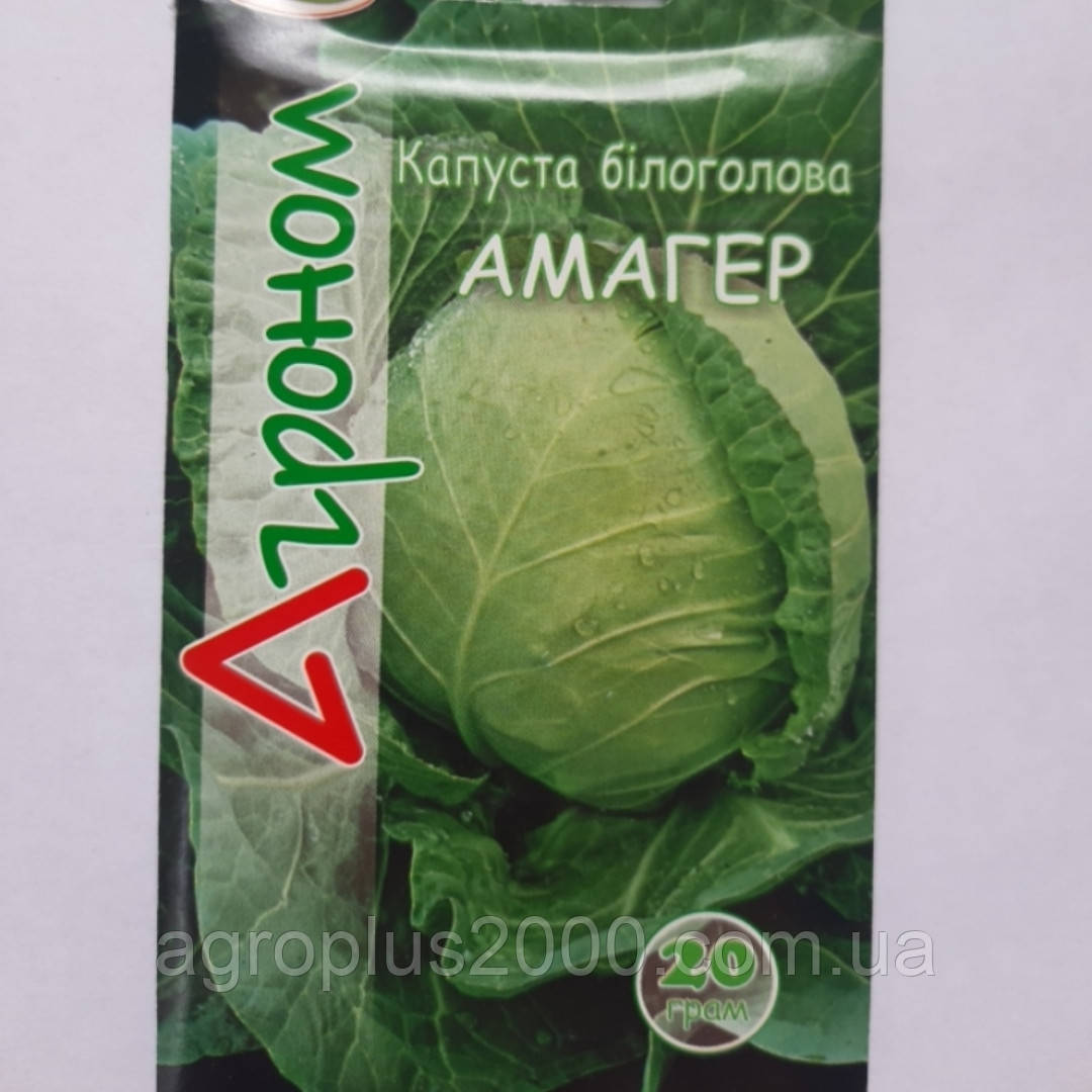 Насіння Капуста білокачанна пізня Амагер 20 грамів Riva
