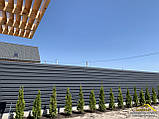 Горизонтальний паркан з профнастилу темно-сірого кольору Ral 7024, купити профнастил графітового кольору на паркан, фото 5