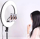 ОПТ Кільцева світлодіодна селфи лампа RL18 45 см на штативі з 3 режимами світла на пульту управління, фото 3