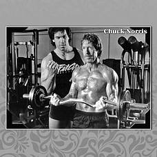 Чак Норріс (Chuck Norris)