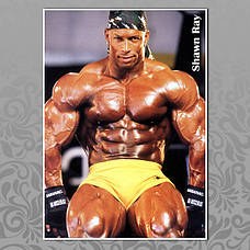 Шон Рей (Shawn Ray)