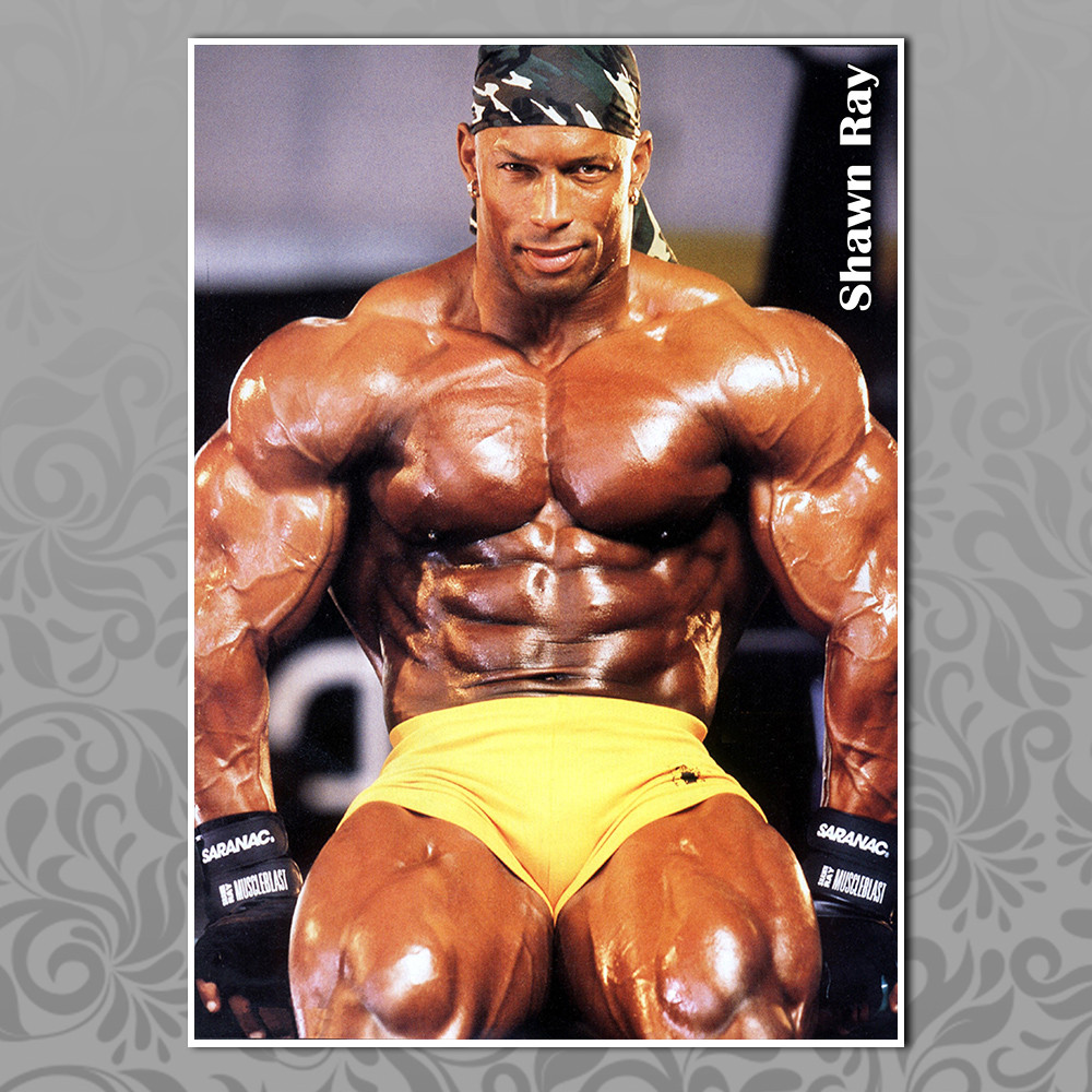 Плакат А3 Шон Рей, фото 1