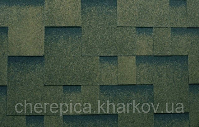 Бітумна черепиця Katepal Rocky Тайга, фото 1