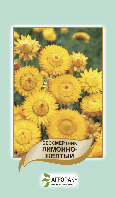 Насіння квітів Безсмертник лимонно-жовтий 0,2 г. Агропак плюс