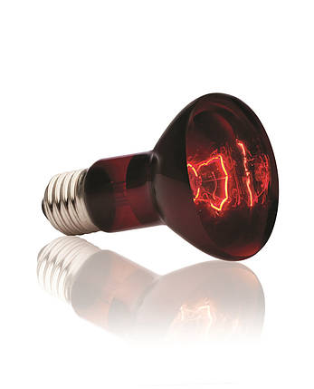 Hagen ExoTerra Heat Glo PT-2142 – інфрачервона теплова лампа R20/75Вт, фото 2