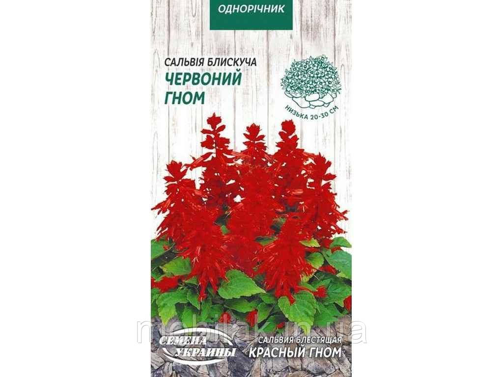 Сальвія блискуча Червоний Гном ОД 0,2 г (10 пачок) ТМ НАСІННЯ УКРАЇНИ