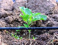 Чим крапельний полив у теплиці краще поверхневого способу