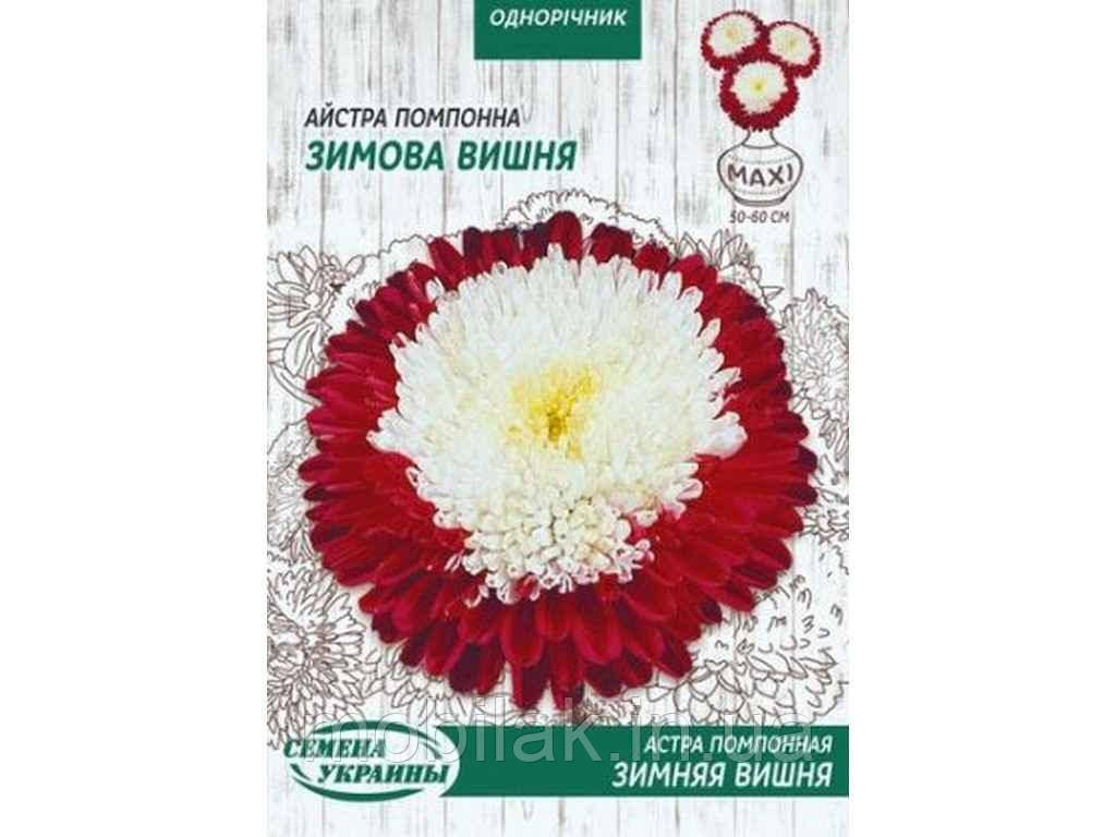 Максі Айстра помпон. ЗИМОВА ВИШНЯ 3г (10 пачок) ТМ НАСІННЯ УКРАЇНИ