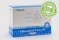 Chlorophyll Forte GP (90) Хлорофіл Форте Хлорофілін Сантегра Santegra