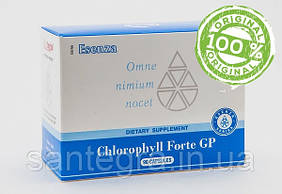Chlorophyll Forte GP (90) Хлорофіл Форте Хлорофілін Сантегра — Santegra