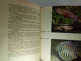 Махлін М. Цікавий акваріум (б/у)., фото 7