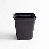 Горщик квадратний 0.5 л / 9х9х10 см для розсади та квітів * технічний пластиковий чорний горщик для рослин, фото 3