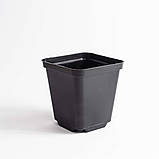 Горщик квадратний 0.5 л / 9х9х10 см для розсади та квітів * технічний пластиковий чорний горщик для рослин, фото 4