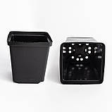Горщик квадратний 1 л / 11х11х12 см для розсади та квітів * технічний пластиковий чорний горщик для рослин, фото 2