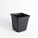 Горщик квадратний 1 л / 11х11х12 см для розсади та квітів * технічний пластиковий чорний горщик для рослин, фото 4