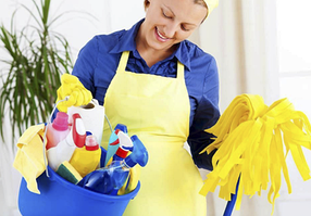 Побутова хімія