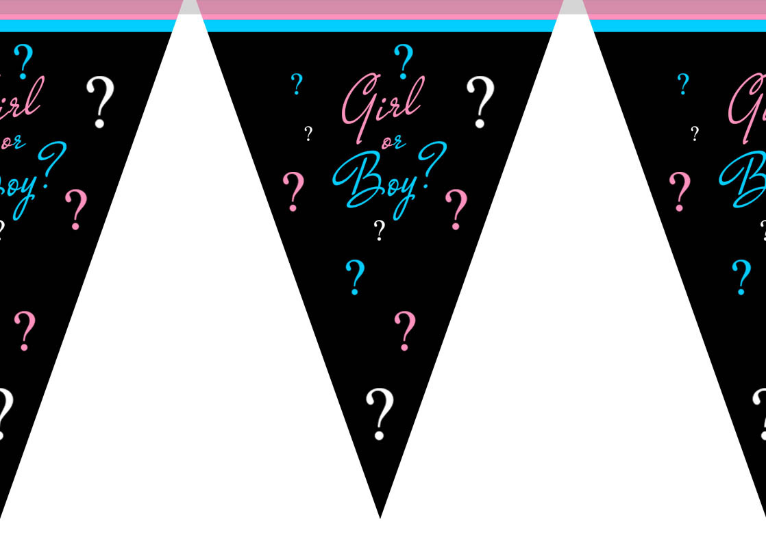 Гірлянди паперові "Girl or Boy" Хлопчик або Дівчинка