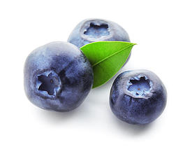 Саджанці Лохини 2-річні