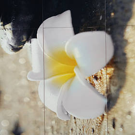 Панно на керамической фотоплитке - Белый цветок и Черные камни 4