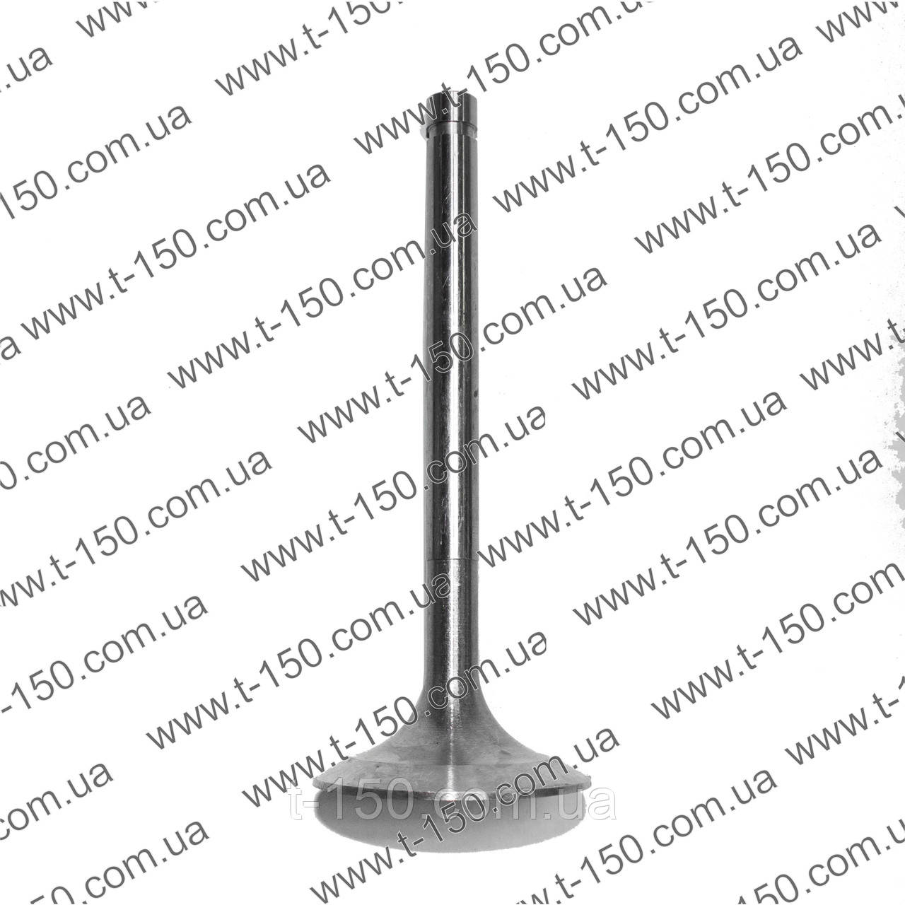 Клапан ГБЦ Т-150 ДТ-75, СМД/ЯМЗ А-41, впускной (большой), А05.12.012 ...