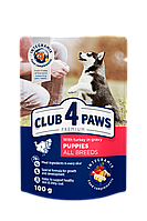 Акція! Club 4 Paws Premium Клуб 4 лапи вологий корм для цуценят усіх порід, індичка в соусі 0.1КГх24ШТ